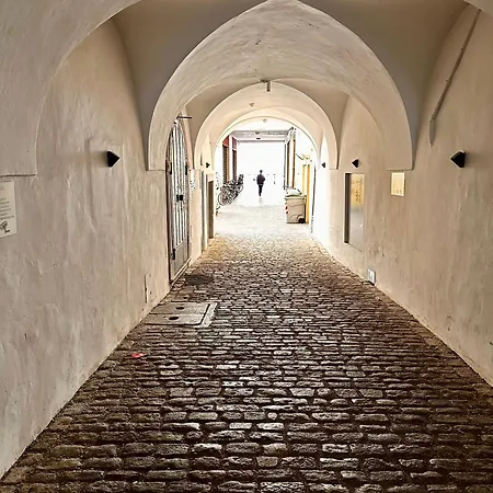 Villareja - Grosszuegige Panorama-suite Mit Dolomitenblick, Terrasse Und Designbad Mit Freistehender Badewanne Bolzano